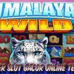 Situs Joker Slot Gacor Online Himalayan Wild